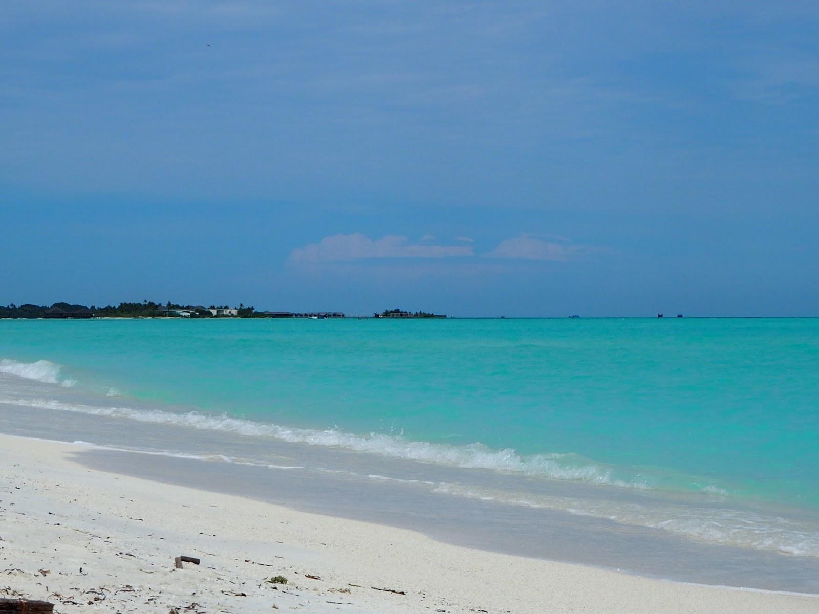Sandee New Harbour Beach