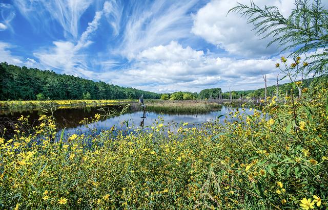 Sandee Caledon State Park Photo