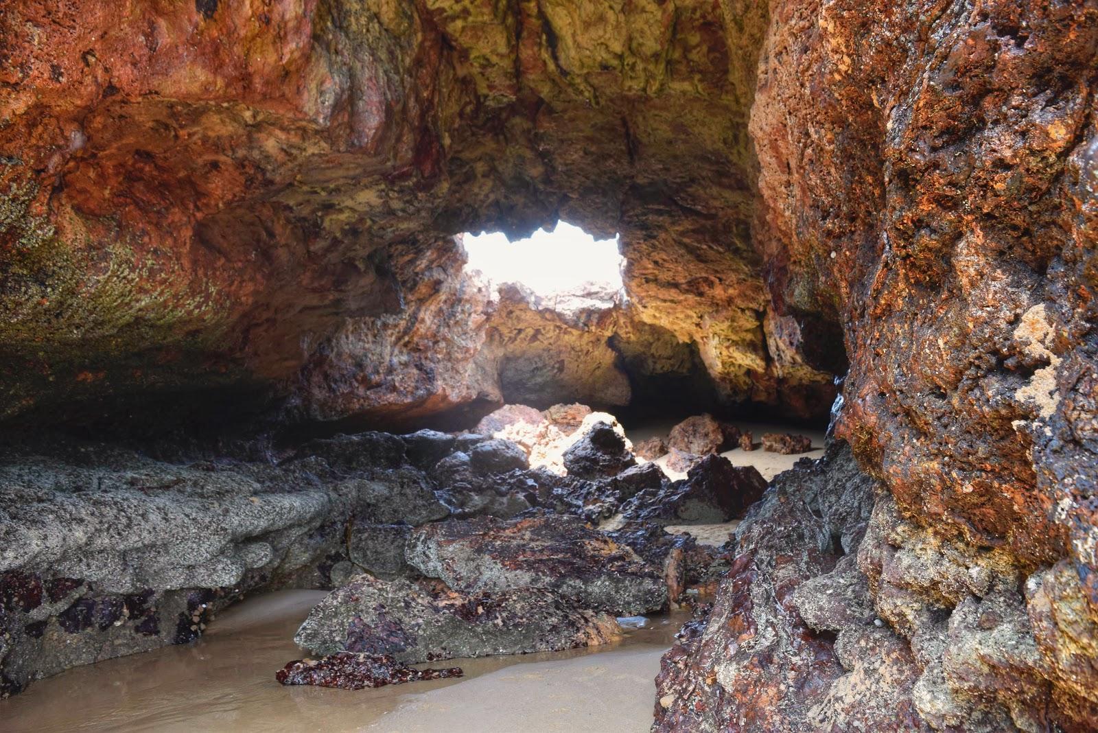 Sandee Forrest Caves