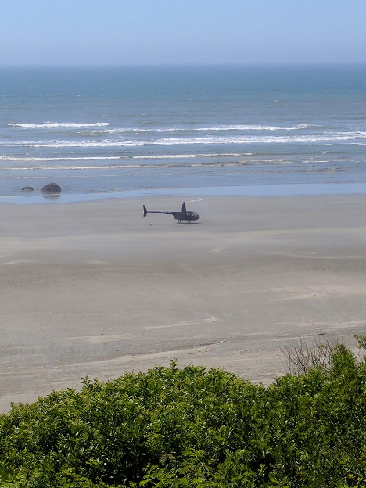 Sandee Copalis National Wildlife Refuge Photo