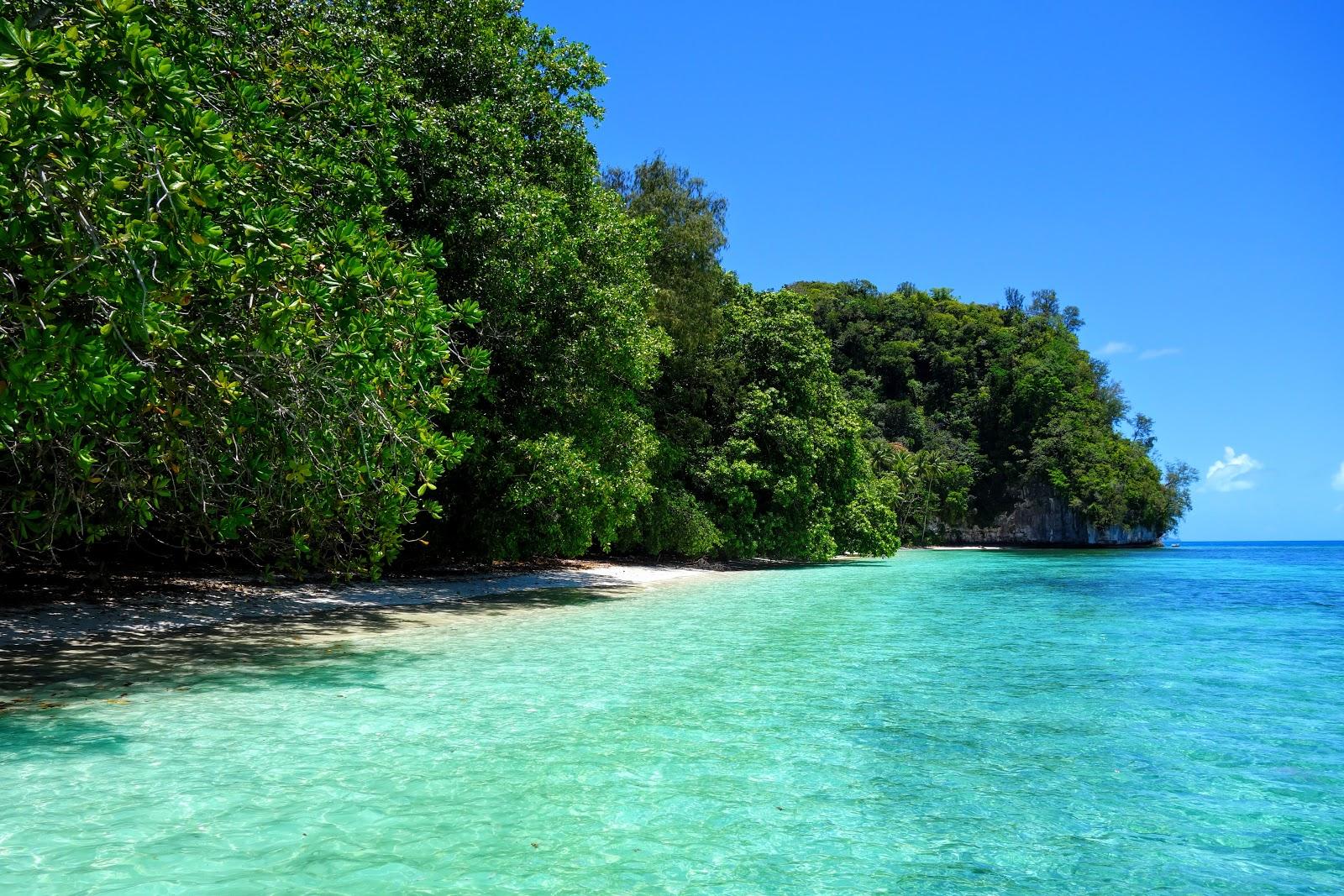 Sandee Englishmens Beach Photo