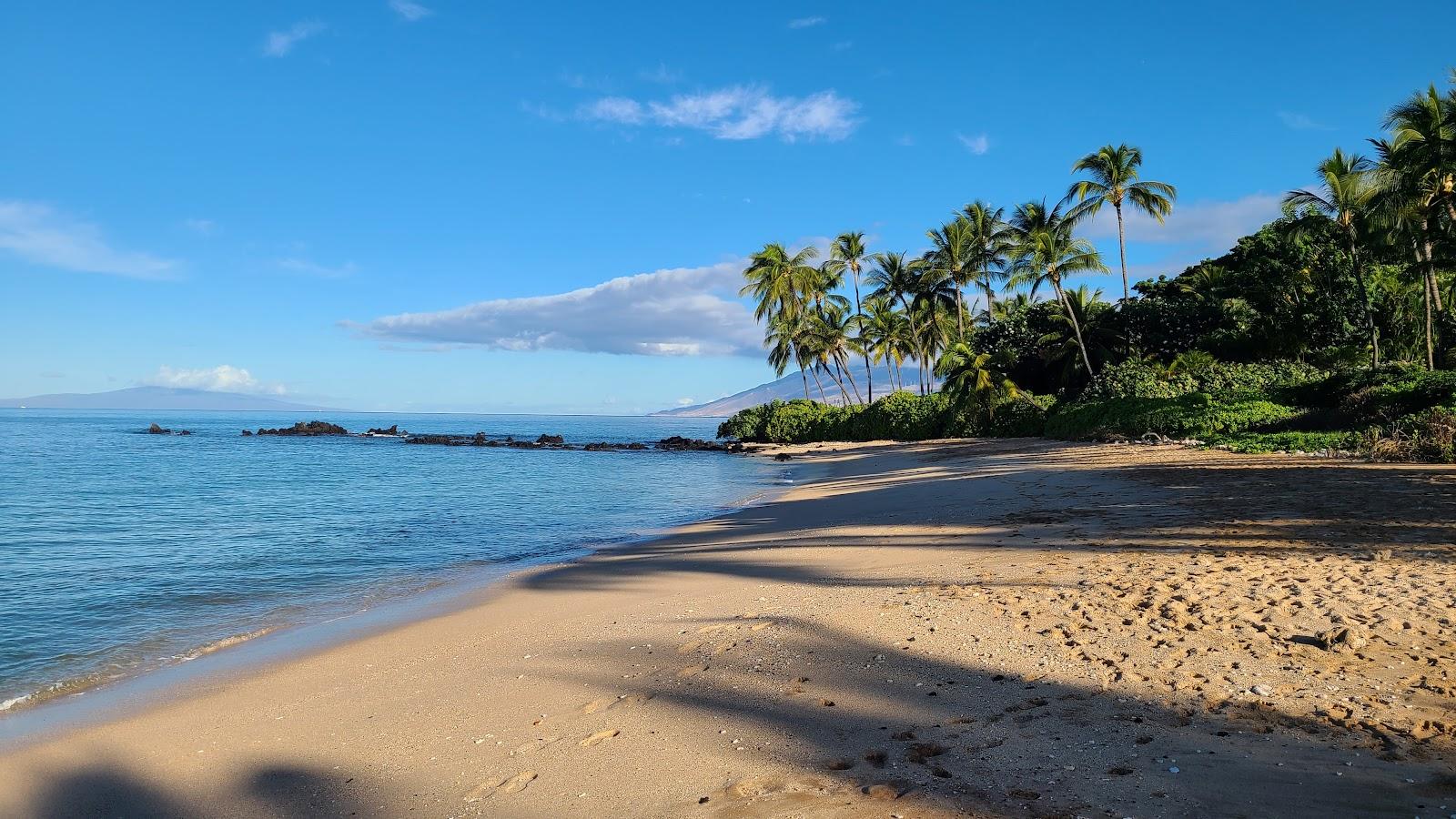 Sandee - Palauea Beach