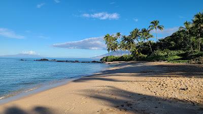 Sandee - Palauea Beach