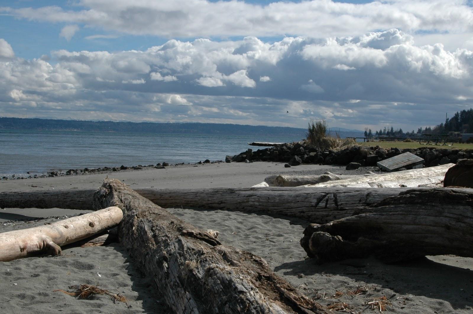 Sandee - Arness County Park