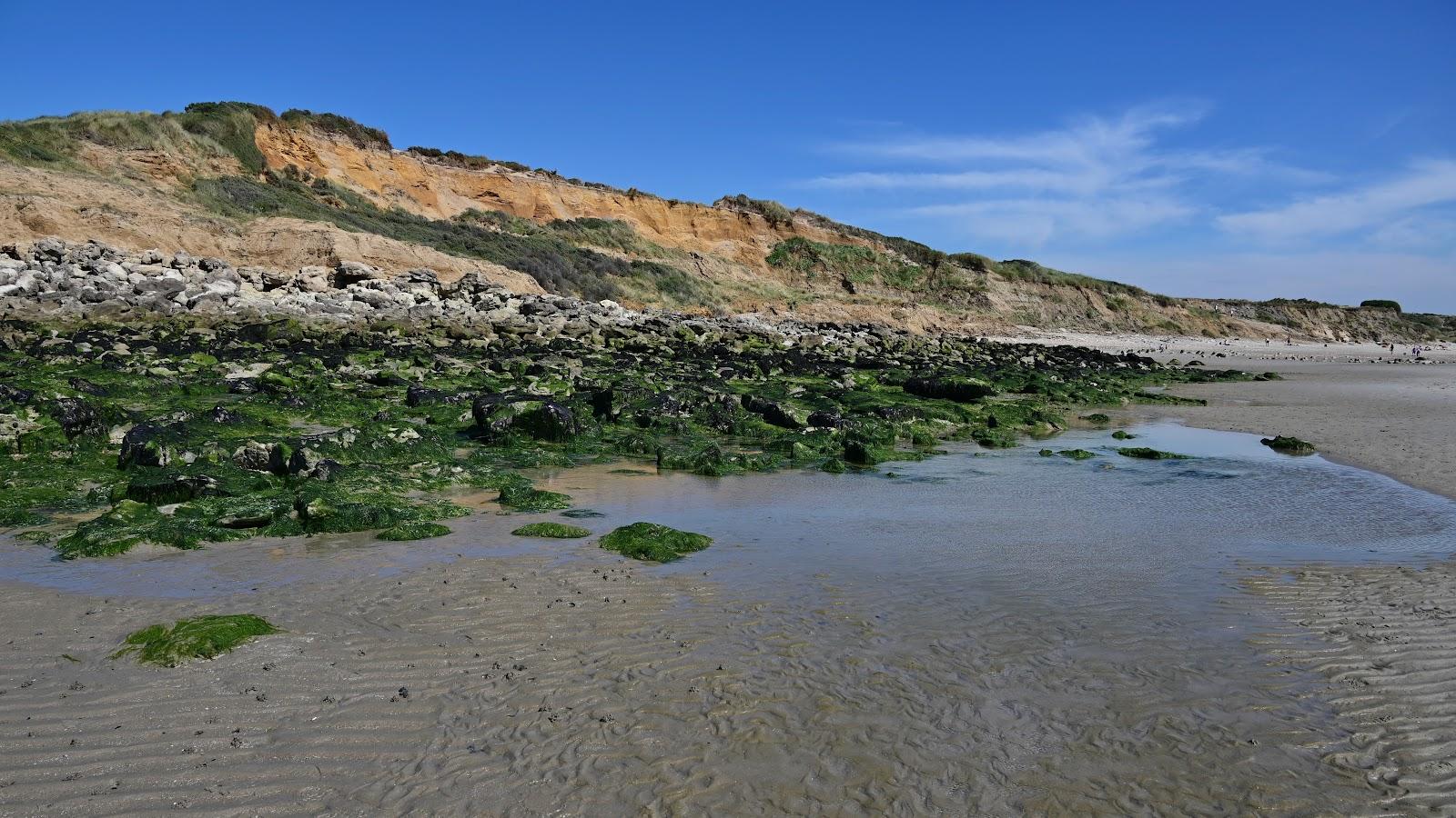 Sandee Plage Dunes De La Slack Photo