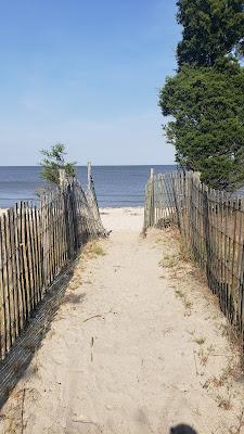 Sandee - Pickering Beach