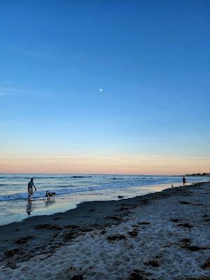 Sandee - Jenness Beach At Cable Road