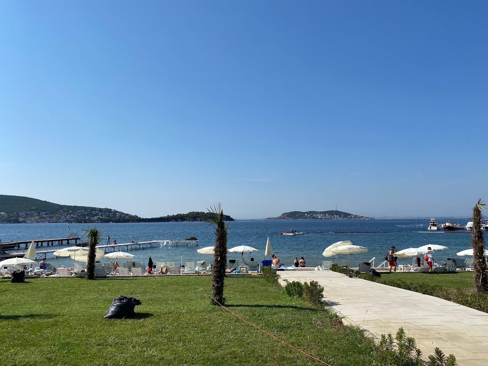Sandee Aqua Green Beach