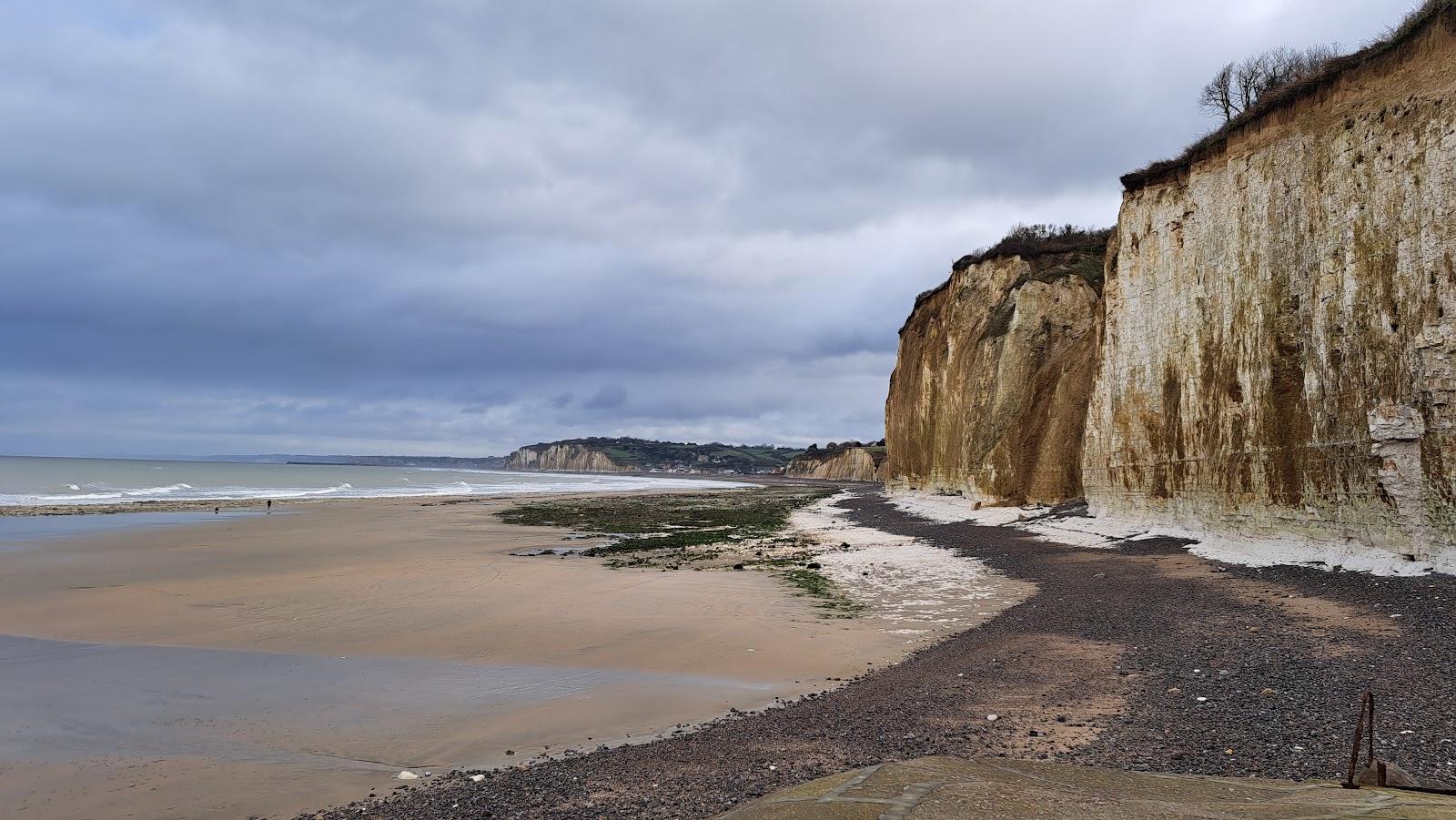 Sandee Plage Du Petit Ailly A Varengeville-Sur-Mer