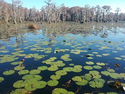 Sandee - Banks Lake Wildlife Recreation Area