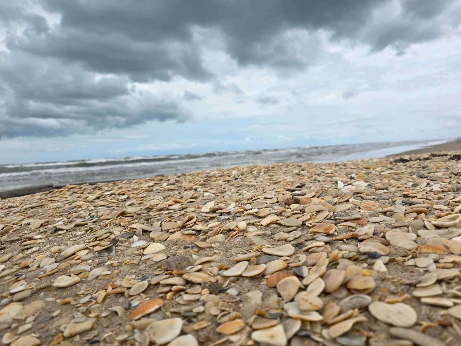 Sandee - Big Shell Beach