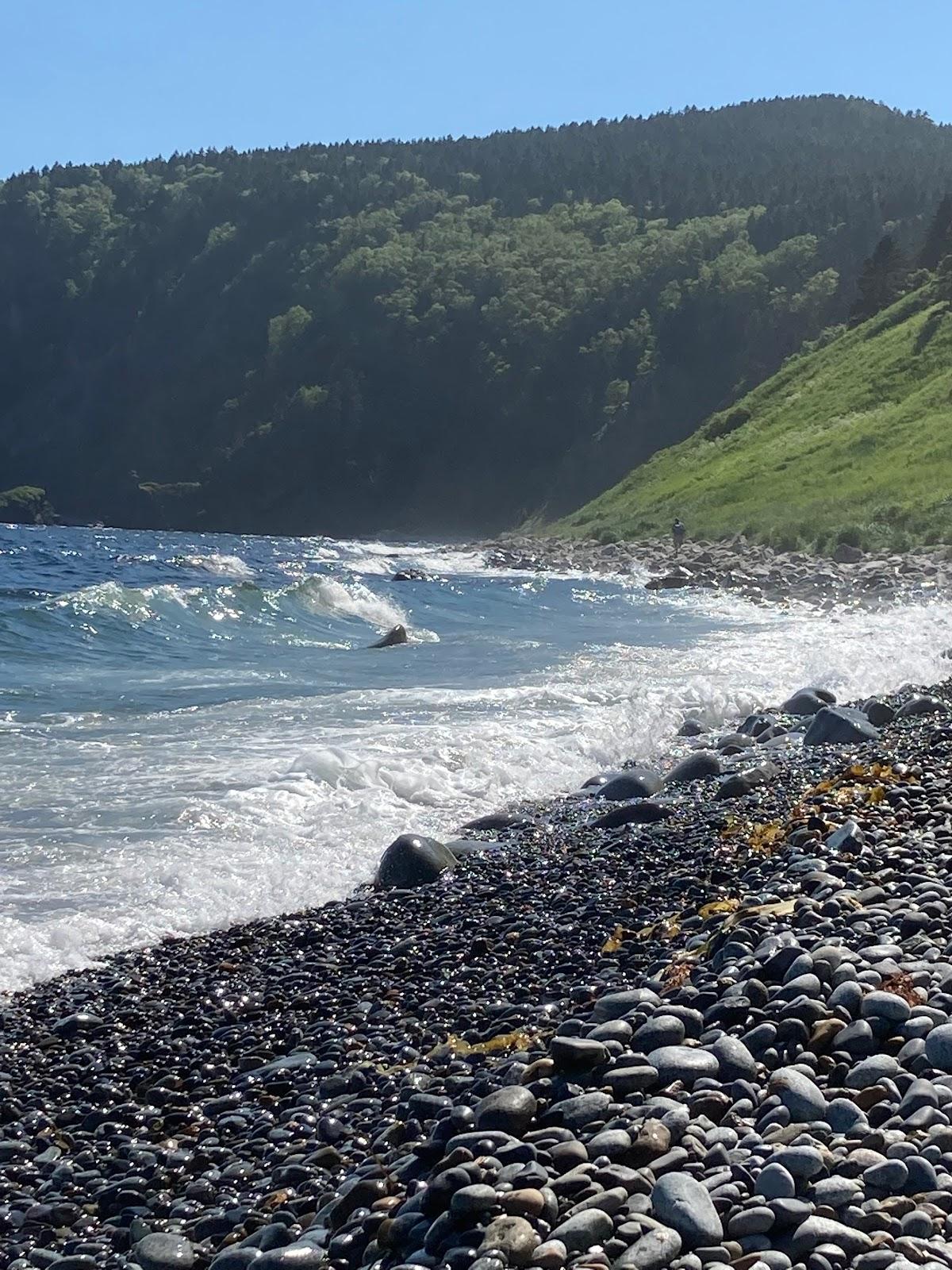 Sandee - HomePage / Kamchatka Krai
