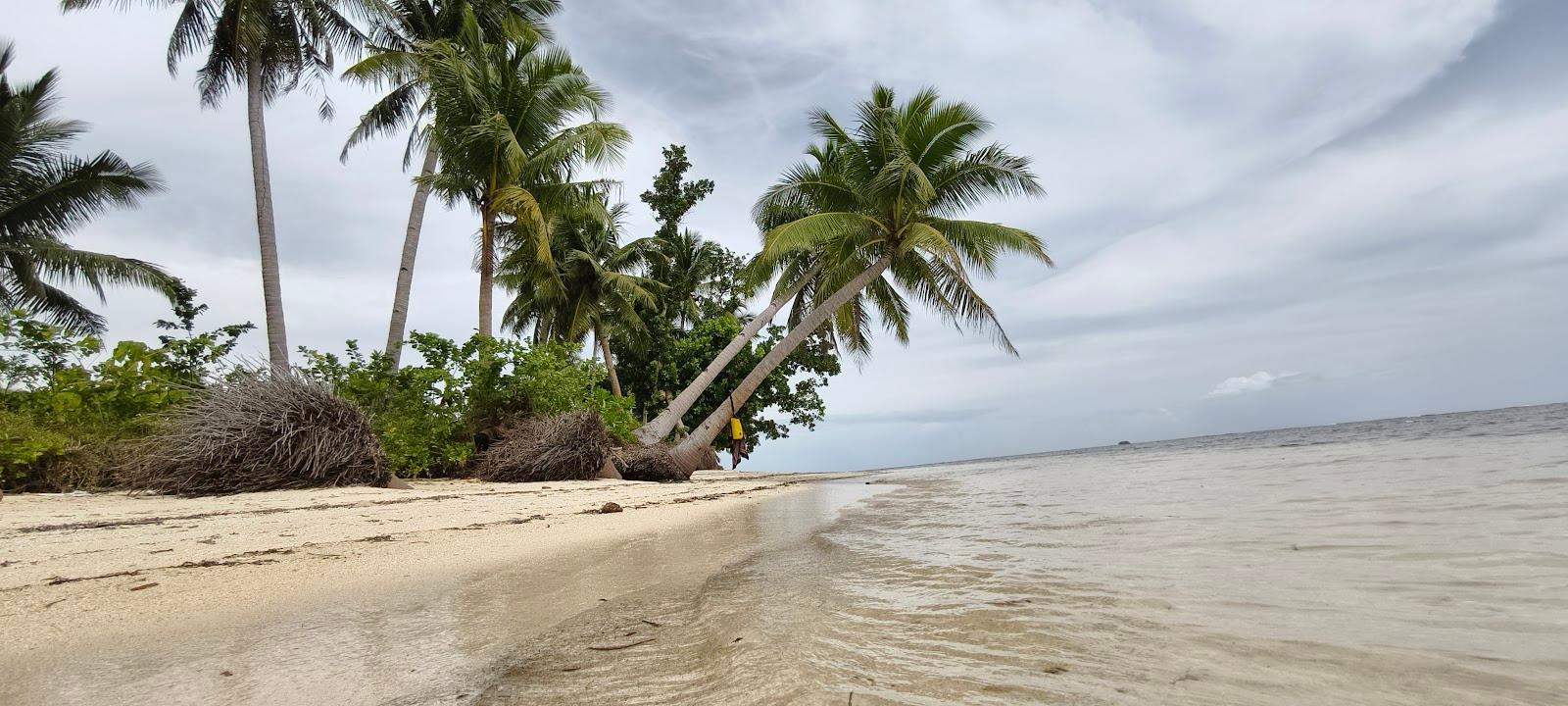 Sandee - Malinao Beach