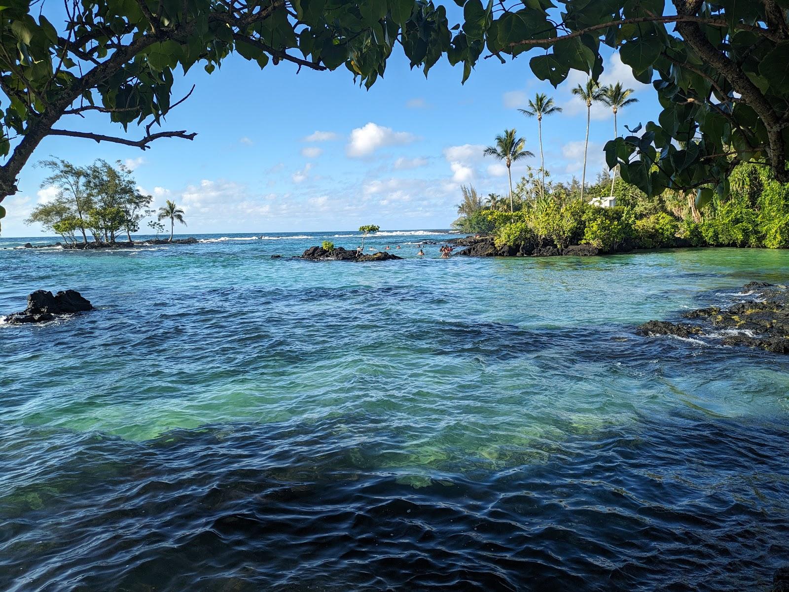 Sandee - Laupahoehoe Beach County Park