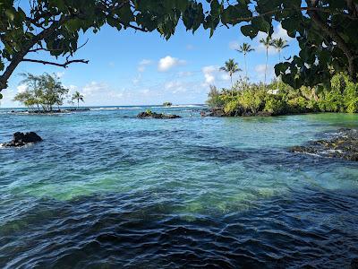 Sandee - Laupahoehoe Beach County Park