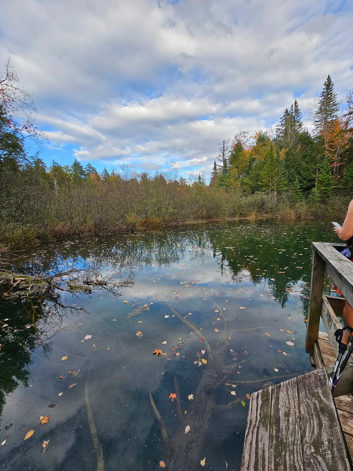 Sandee - Porcupine Mountain State Park