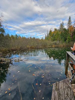 Sandee - Porcupine Mountain State Park