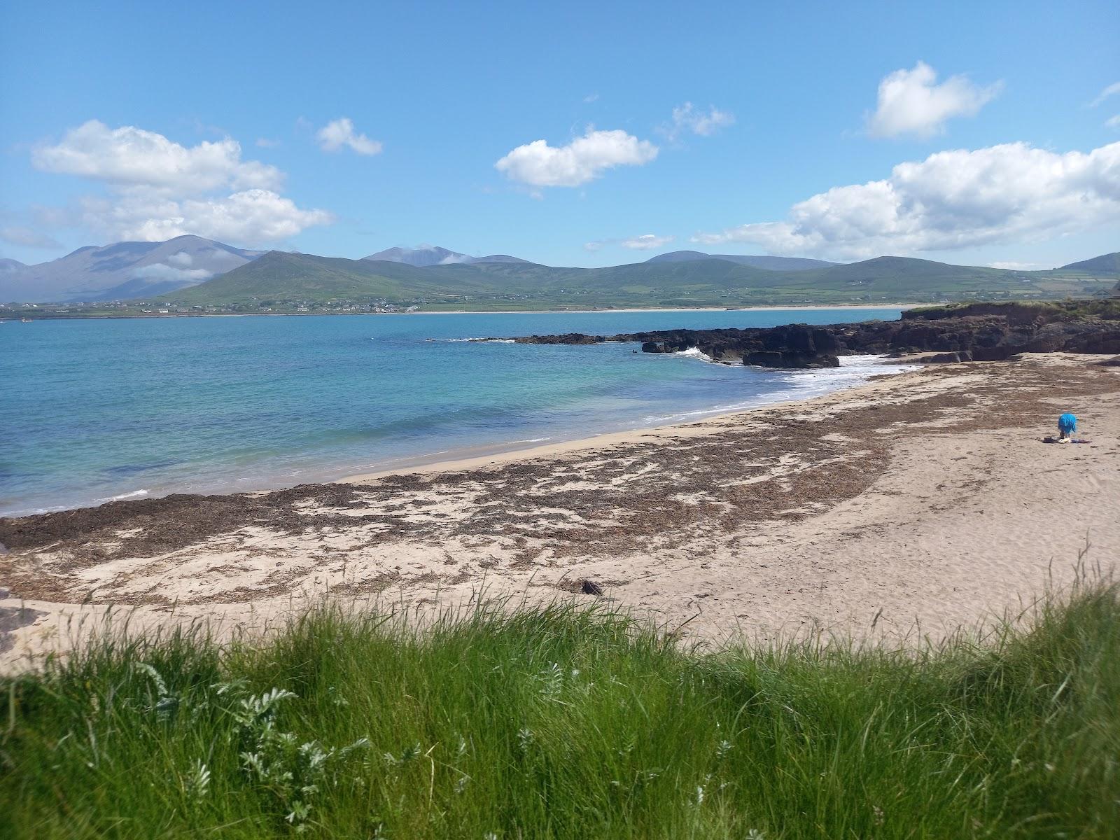 Sandee Ballinrannig Beach Photo