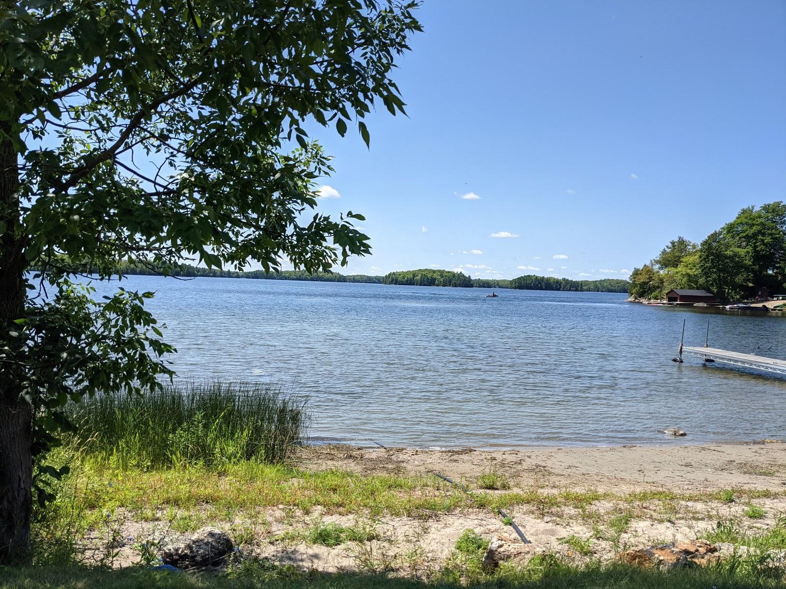 Sandee Sharbot Lake Beach Photo