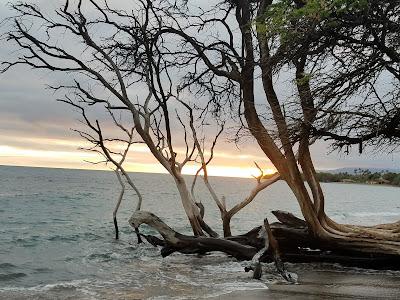 Sandee - Awalua Beach