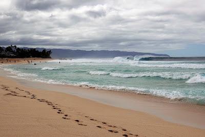 Sandee - Banzai Pipeline