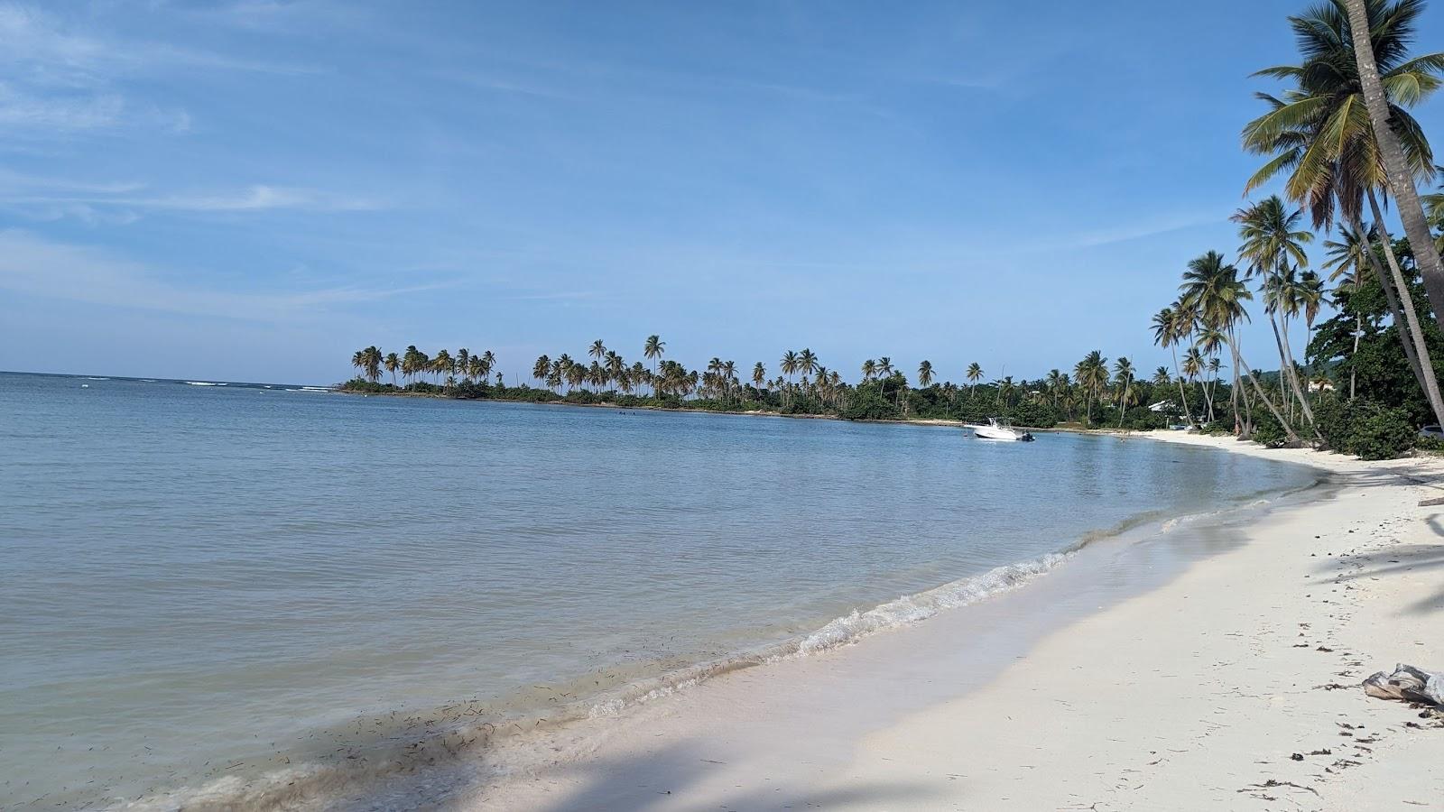 Sandee Playa Arriba