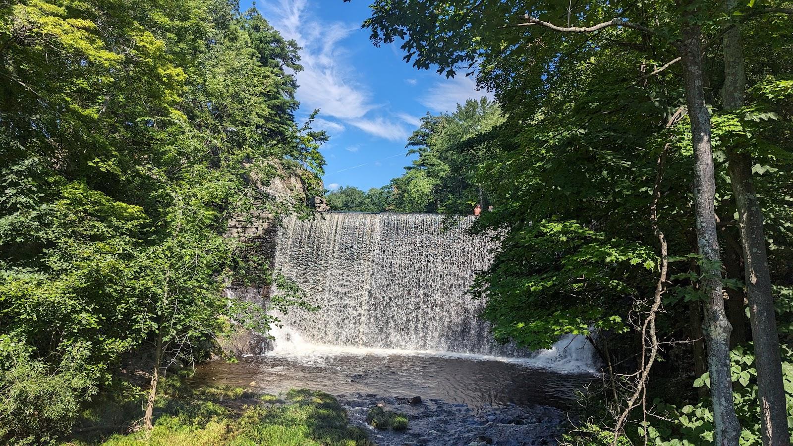 Sandee Puffers Pond