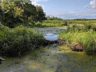 Sandee - Lakeview Marsh And Barrier Beach National Natural Landmark