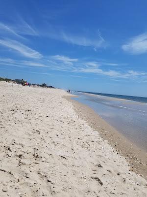 Sandee - Flying Point Beach