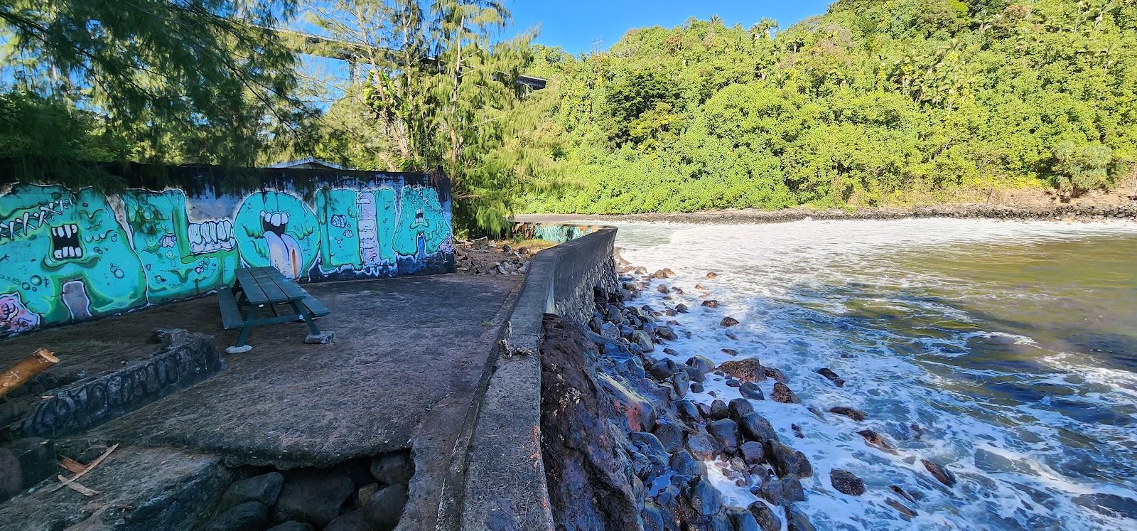 Sandee - Hakalau Beach Park