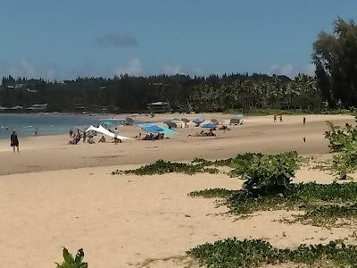 Sandee - Waioli Beach Park