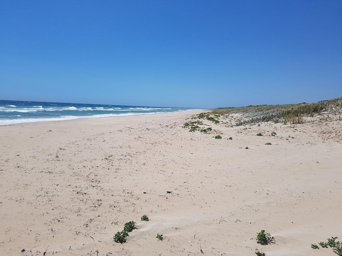 Sandee Goldenn Bay Foreshore Photo