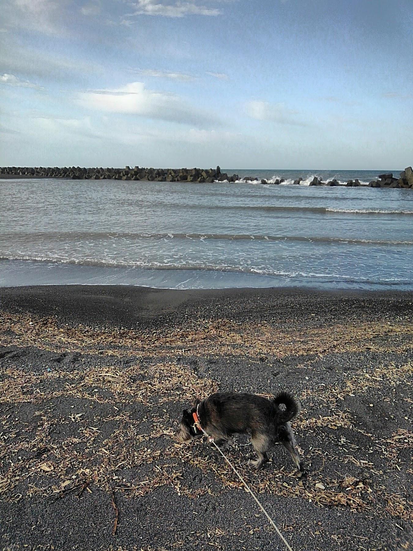 Sandee Minakuru Beach