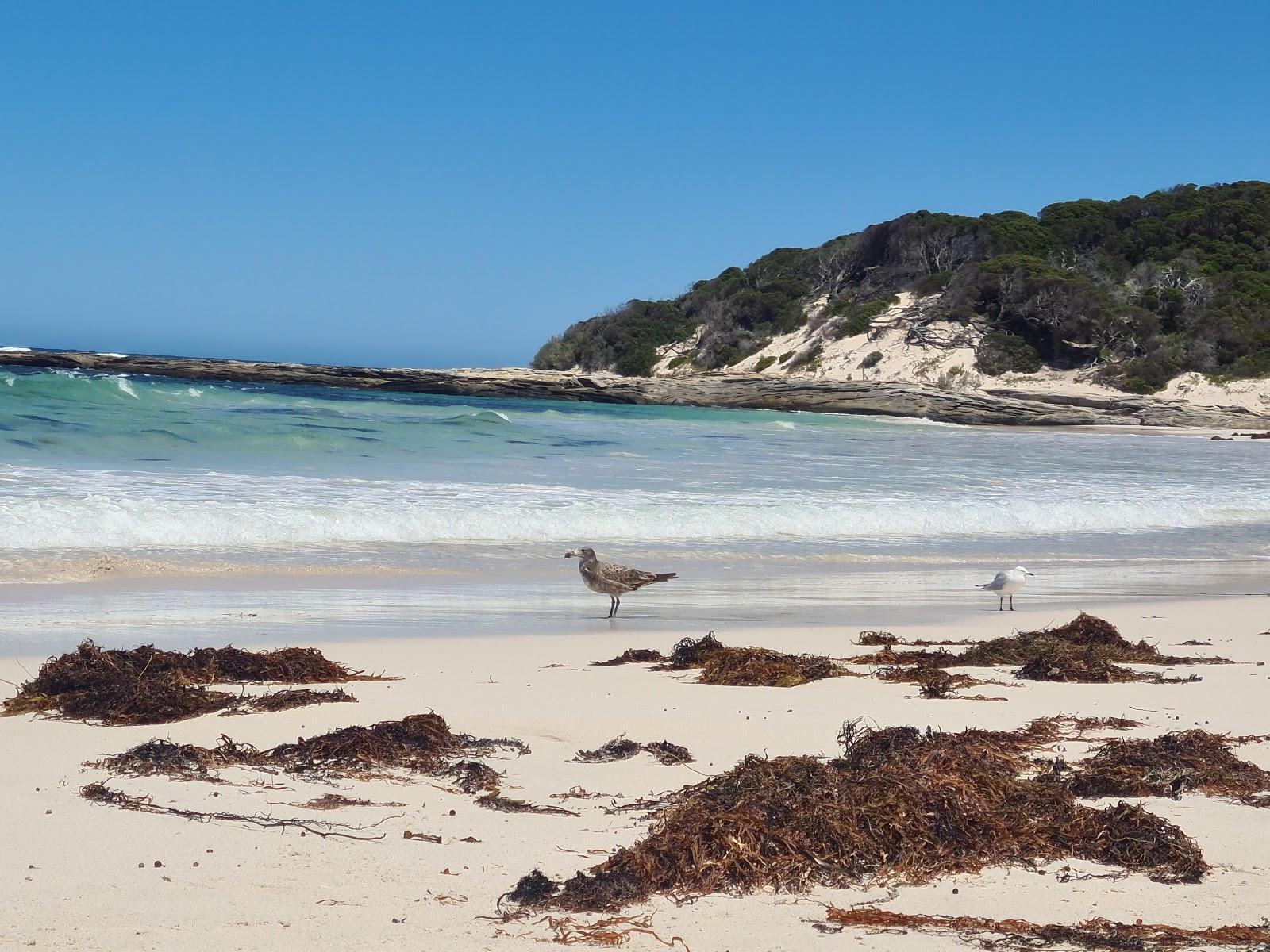 Sandee Two/2 Mile Beach