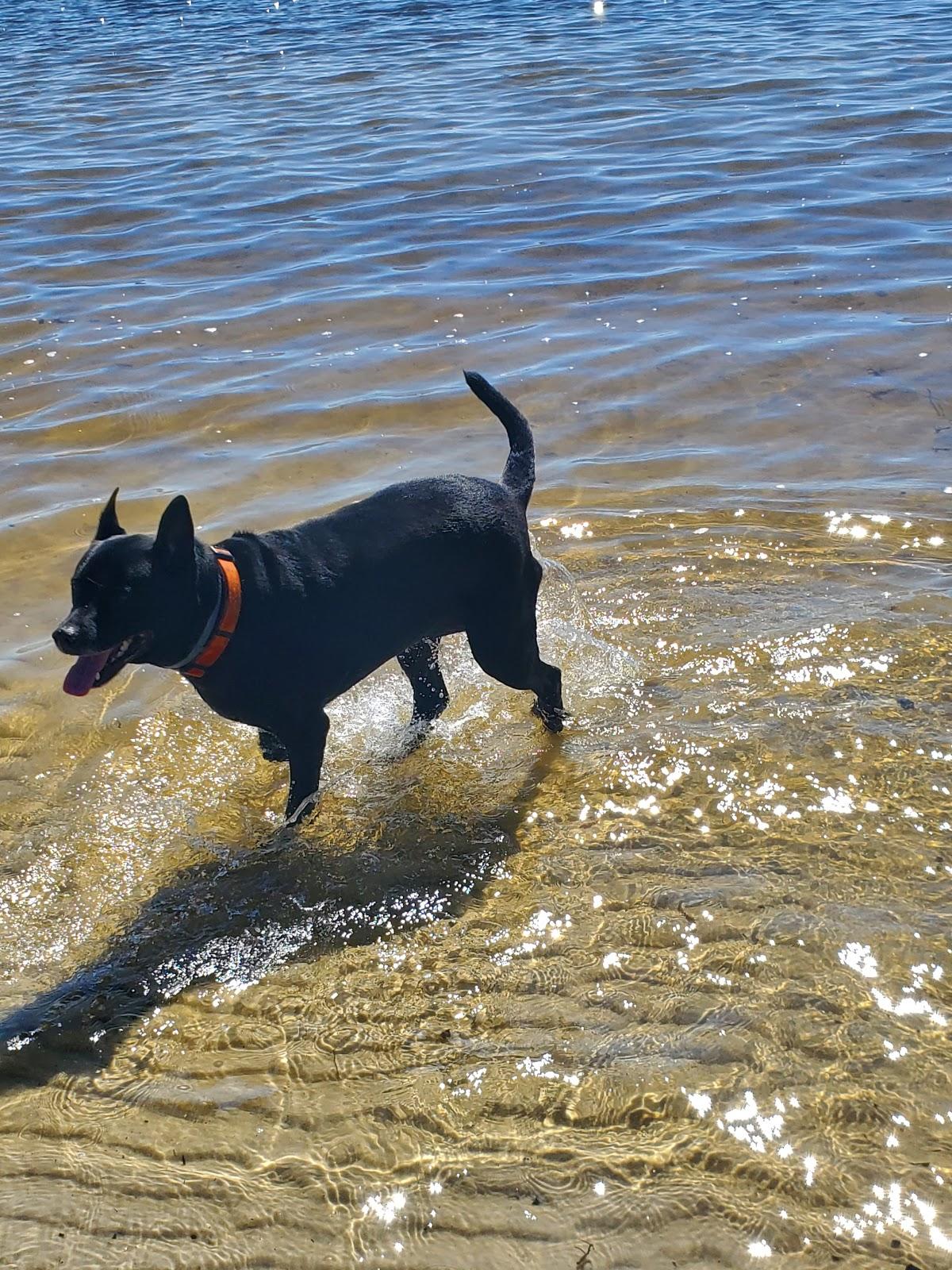 Sandee - Liza Jackson Park Beach