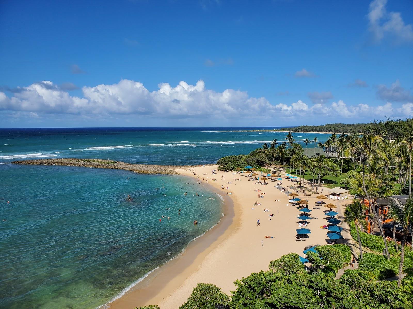 Sandee Turtle Bay Beach Photo