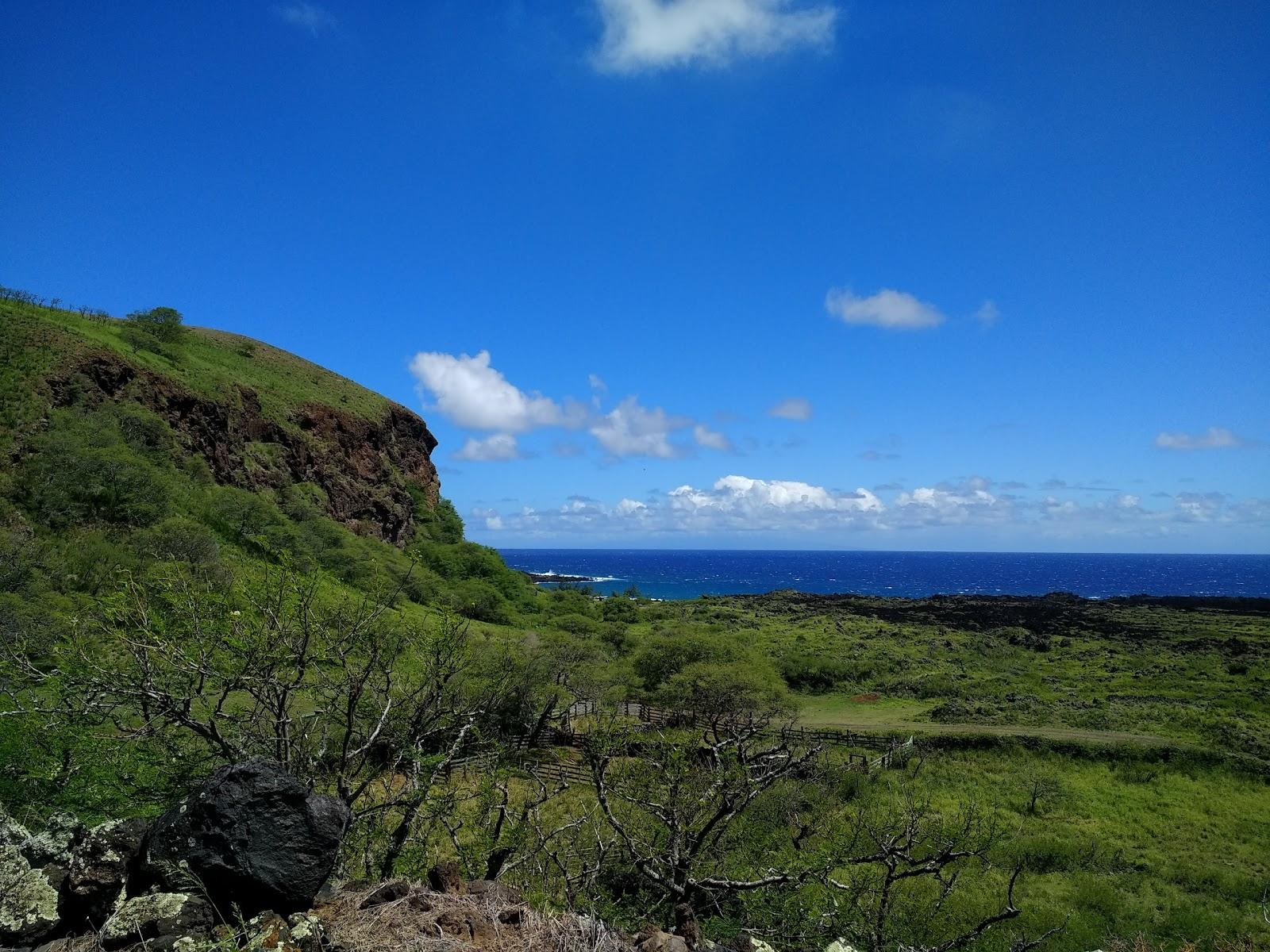 Sandee - Nuu Bay