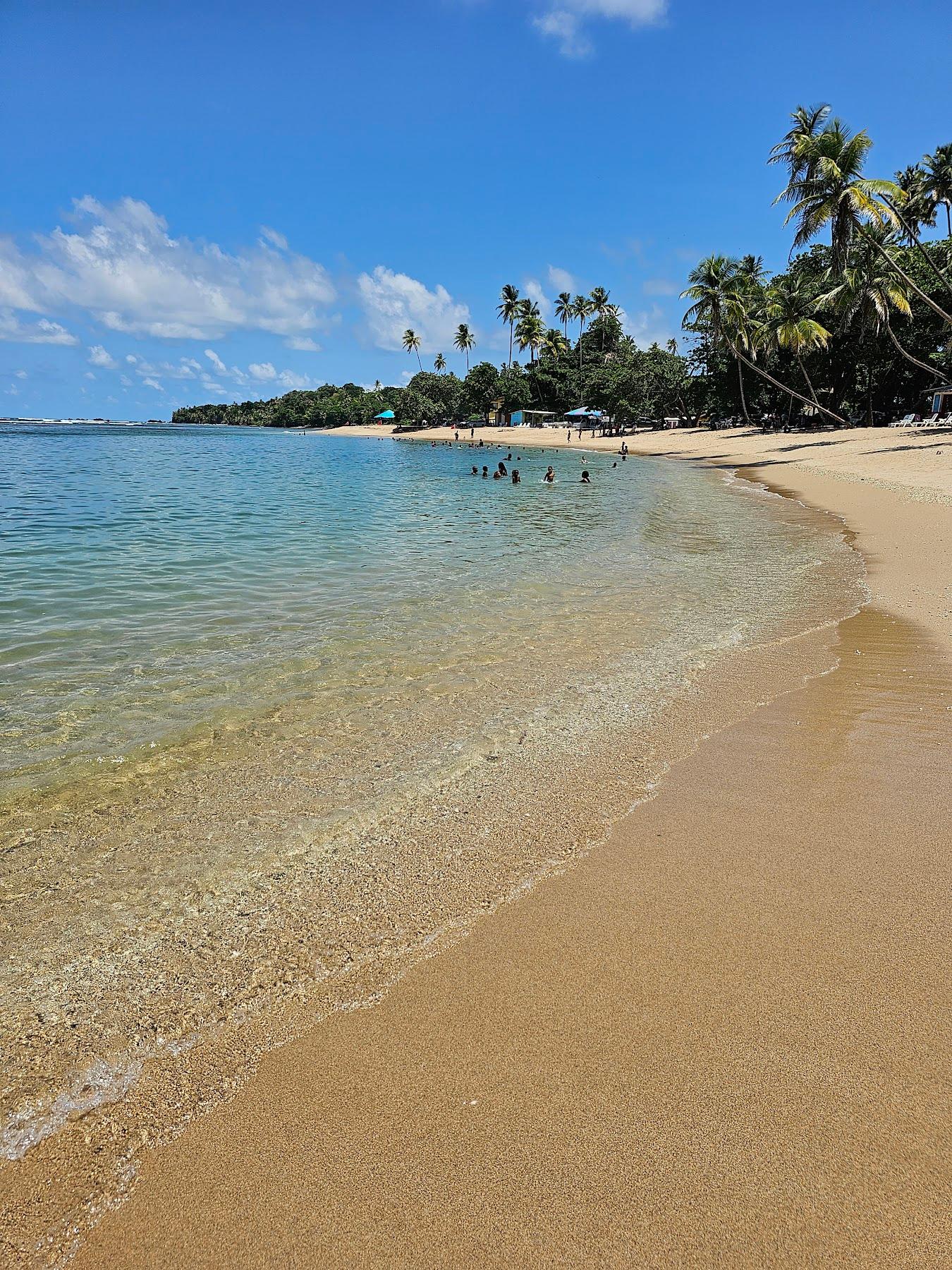 Sandee Salybia Beach