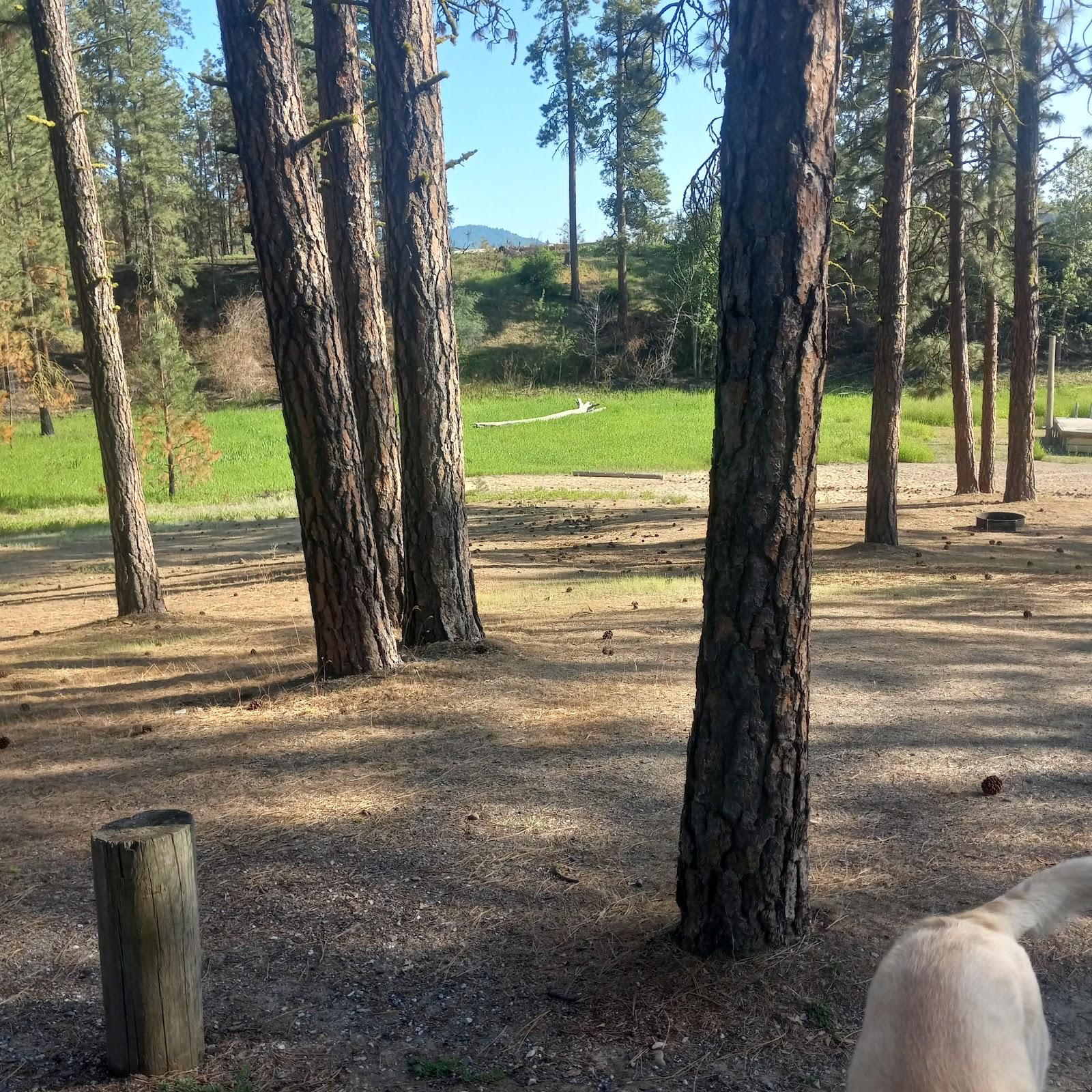 Sandee Cloverleaf Campground