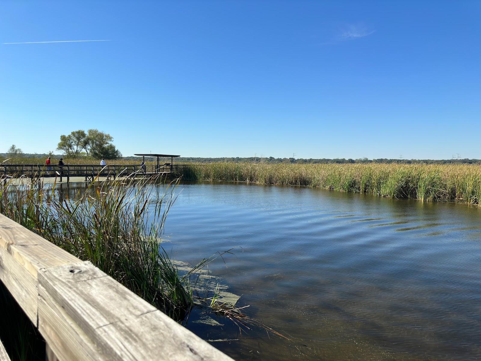 Sandee Sand Beach Wetlands Conservation Area Photo