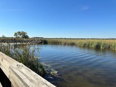 Sandee - Sand Beach Wetlands Conservation Area