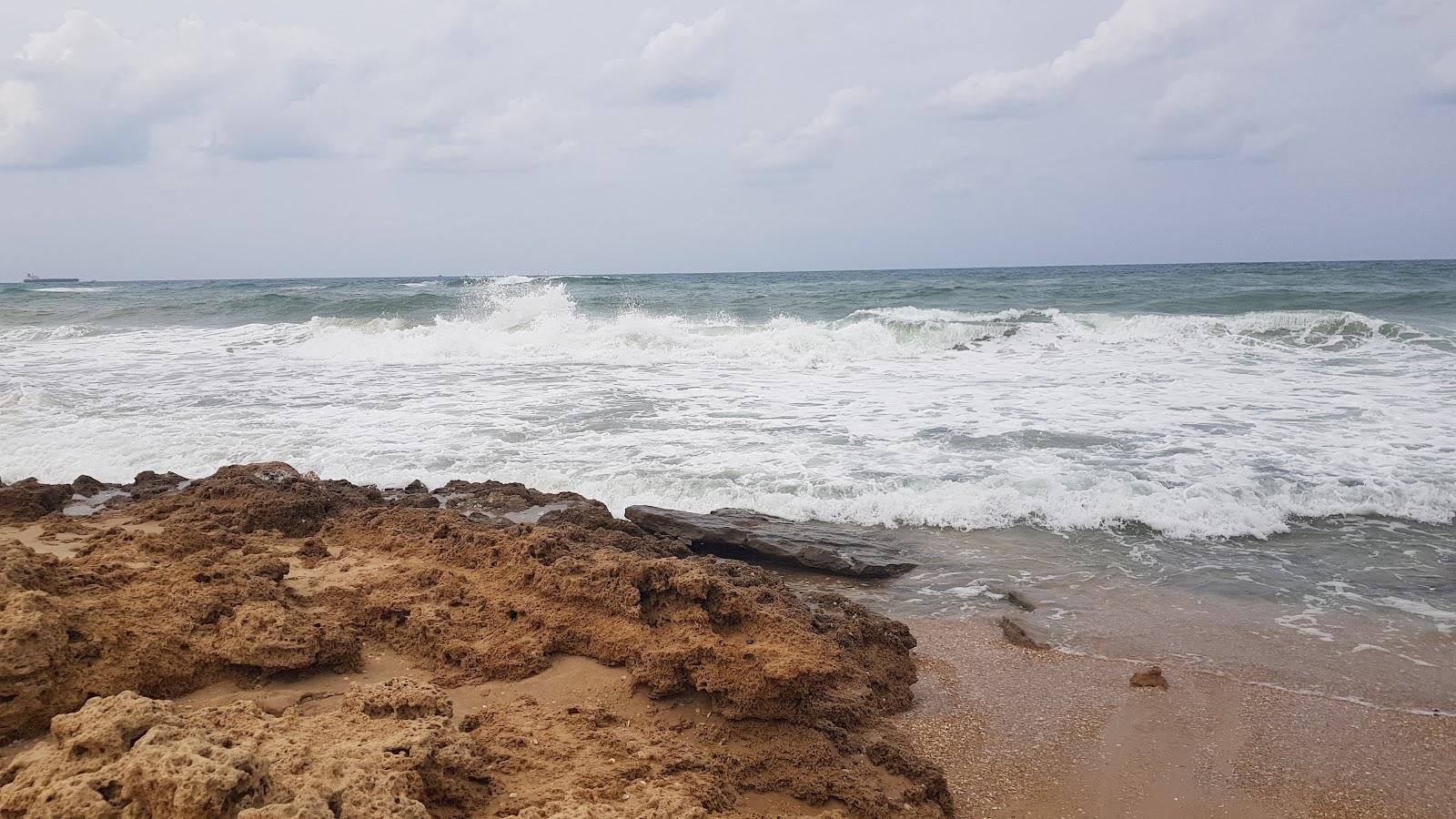 Sandee Wild Beach