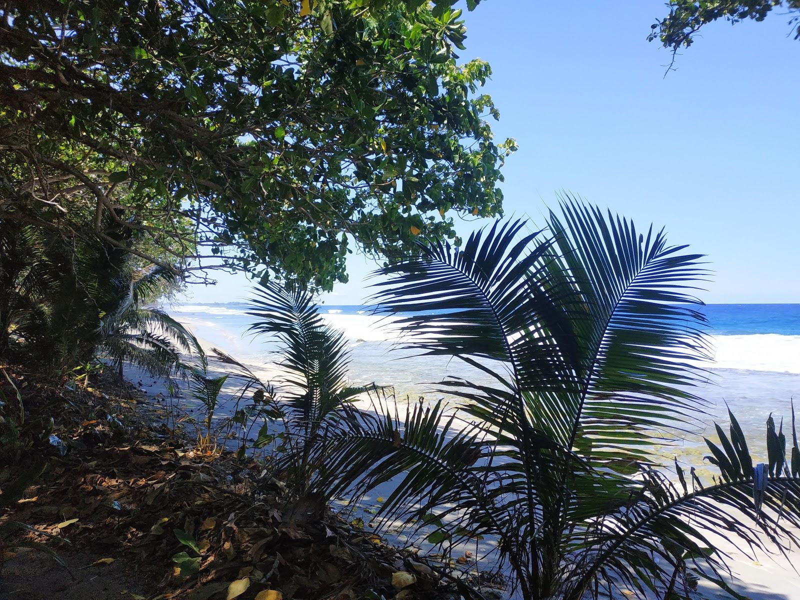 Sandee Pantai Aipiri Photo