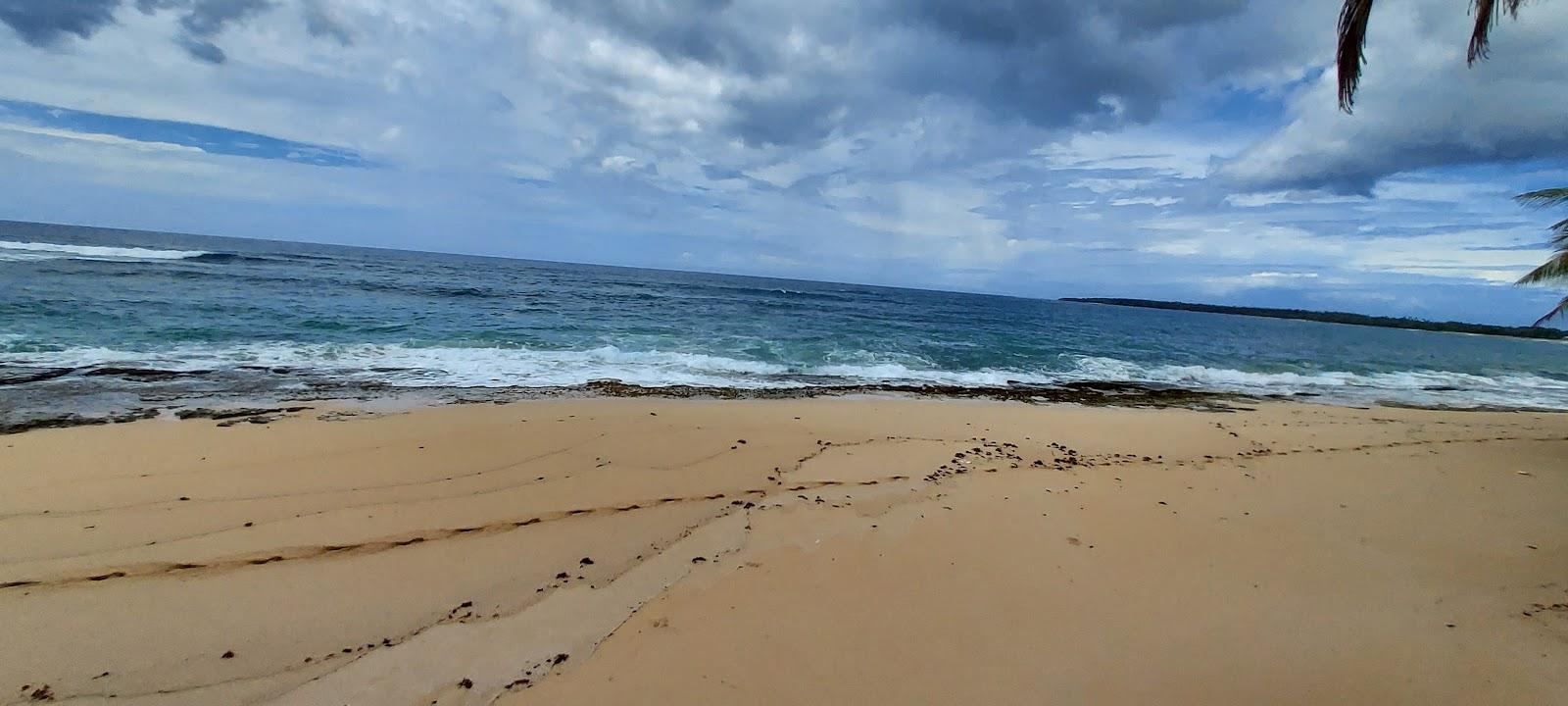 Sandee - Playa Tortuguero