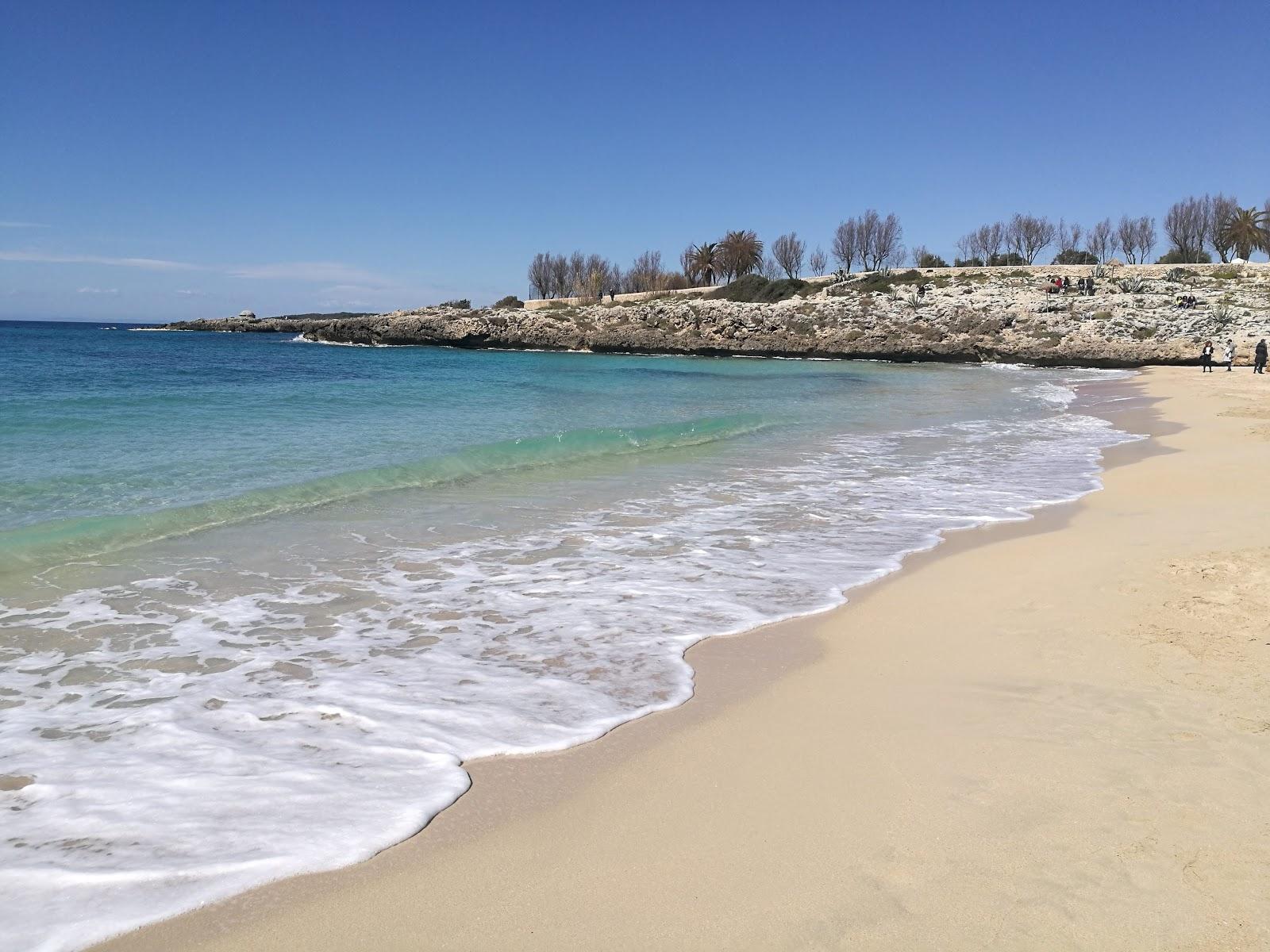 Sandee Cannito Beach