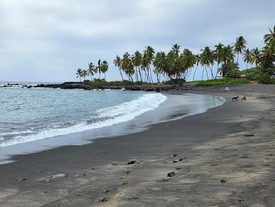 Sandee - Honomalino Bay Beach