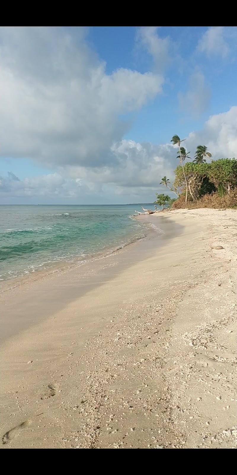 Sandee Pangai Southern Beach Photo