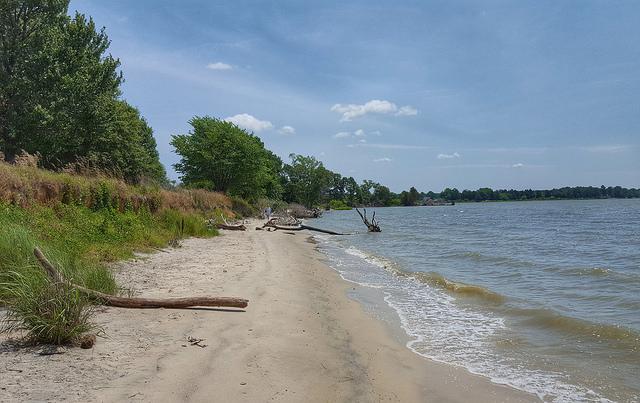Sandee Belle Isle State Park