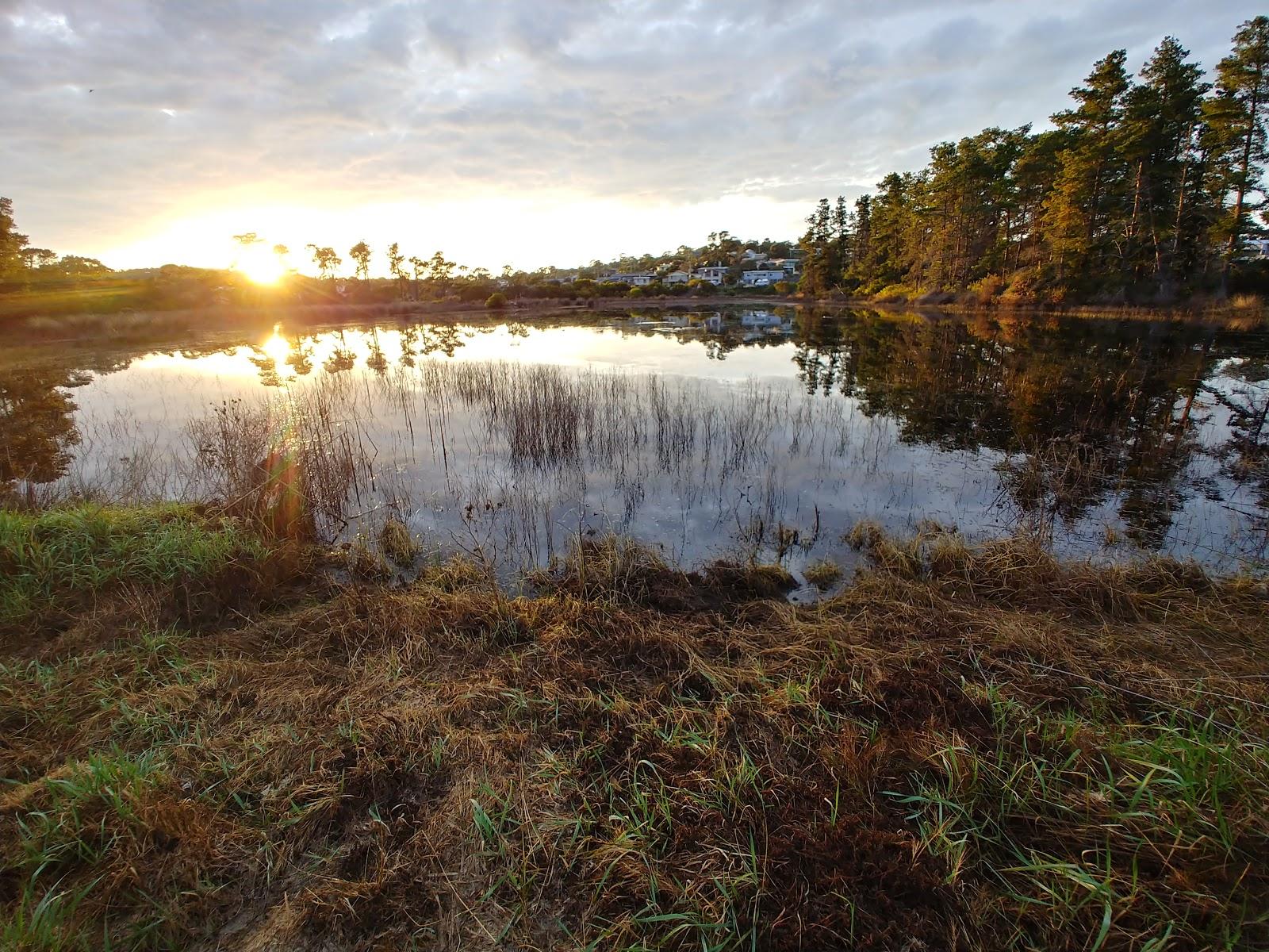 Dodges Ferry Photo - Sandee