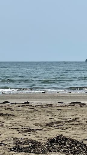 Sandee - Dune Spiaggia